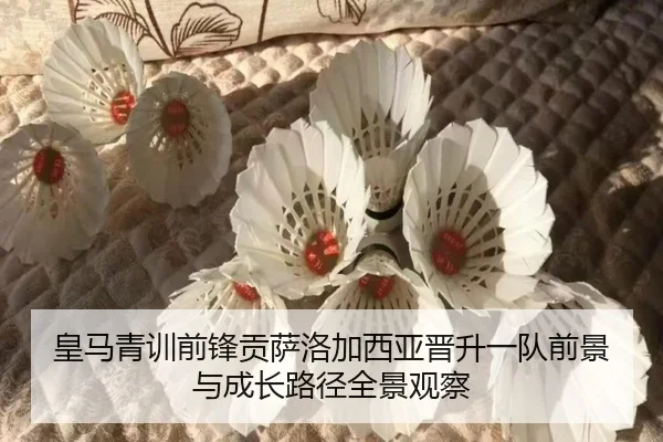 皇马青训前锋贡萨洛加西亚晋升一队前景与成长路径全景观察