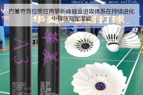 约基奇高位策应再攀新峰掘金进攻体系在持续进化中释放冠军潜能